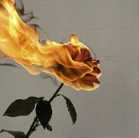 博客镜像一